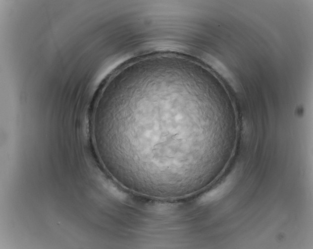 X0000092110782200709191327