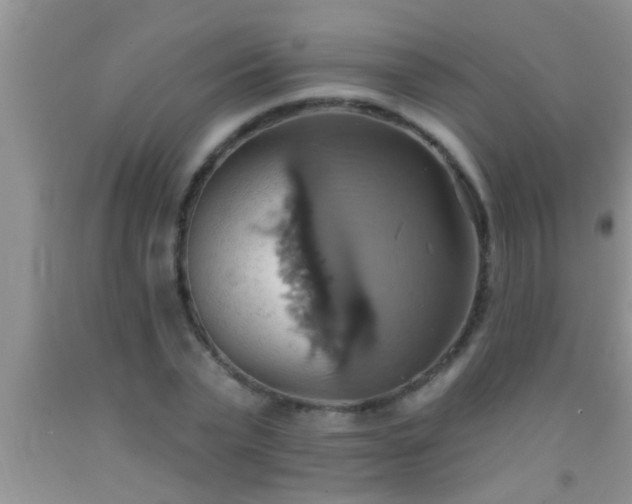 X0000092110783200709191327