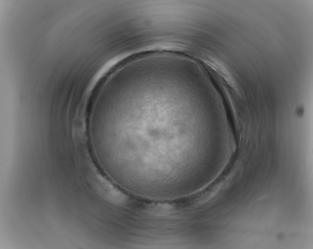 X0000092110784200709191327