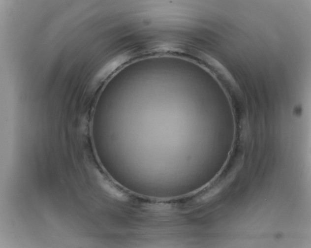 X0000092110785200709191327