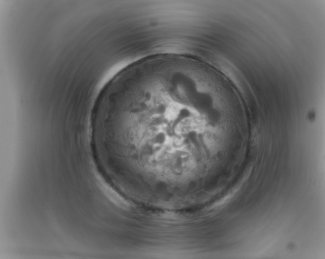 X0000092110787200709191327