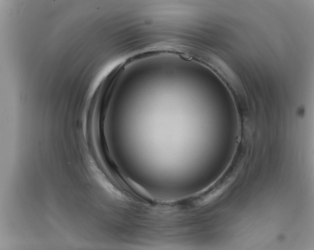 X0000092110788200709191327