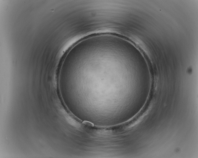 X0000092110789200709191327