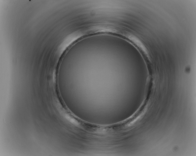 X0000092110790200709191327