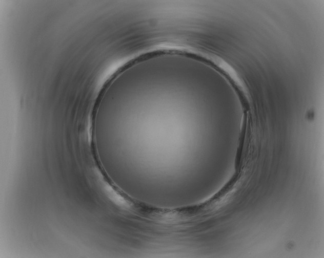 X0000092110791200709191327