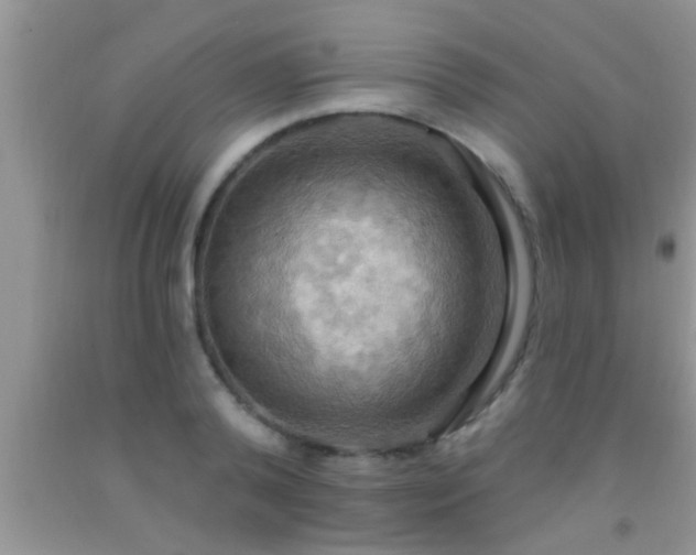 X0000092110792200709191327