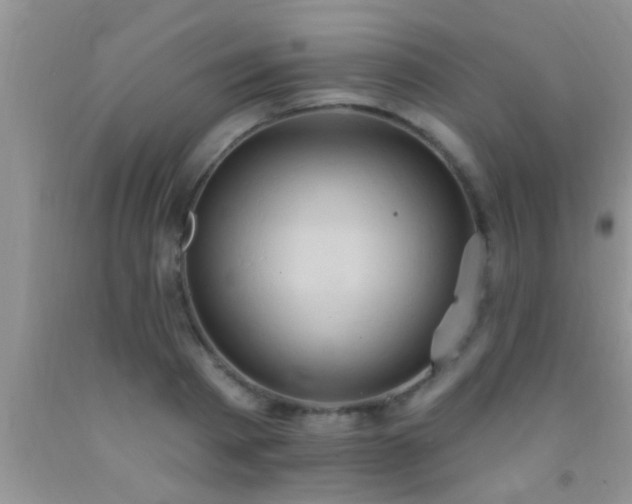 X0000092110793200709191327