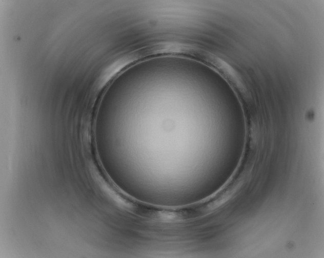 X0000092110794200709191327