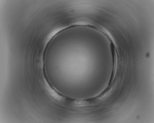 X0000092110795200709191327