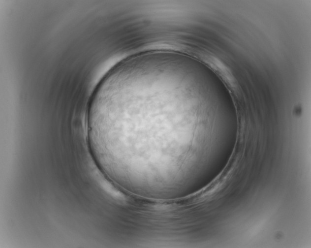 X0000092110796200709191327