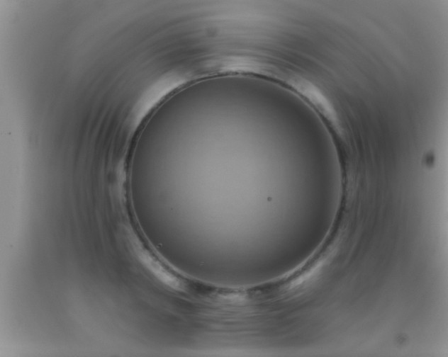 X0000092110798200709191327