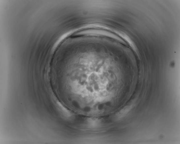 X0000092110799200709191327