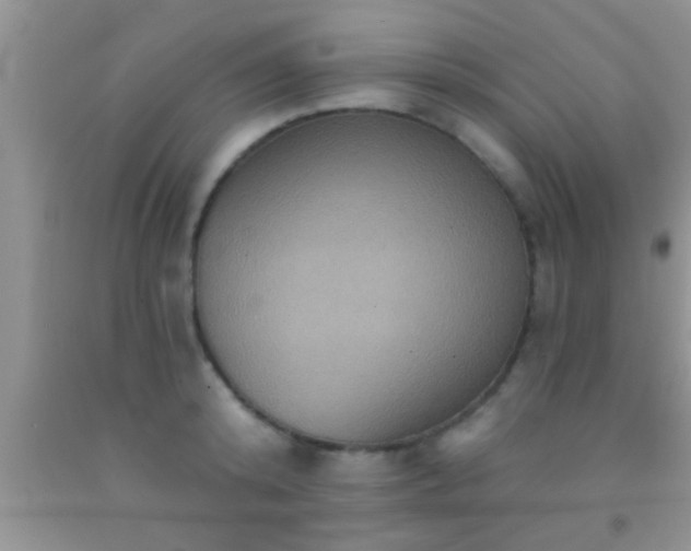 X0000092110800200709191327