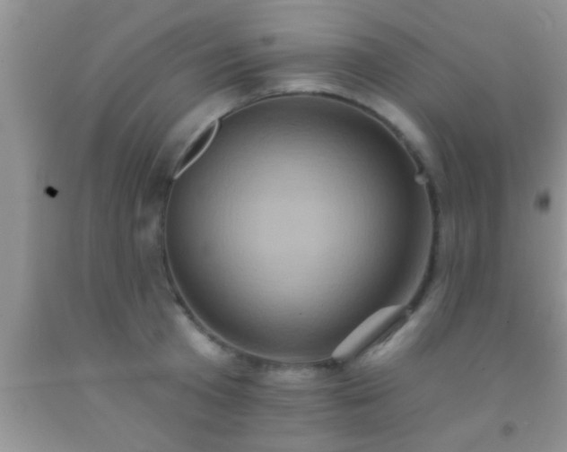 X0000092110801200709191327