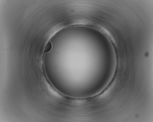 X0000092110802200709191327