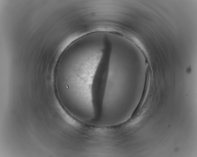 X0000092110803200709191327