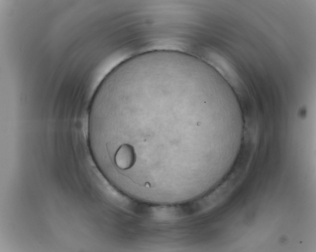 X0000092110804200709191327