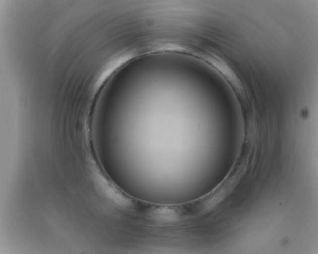 X0000092110806200709191327