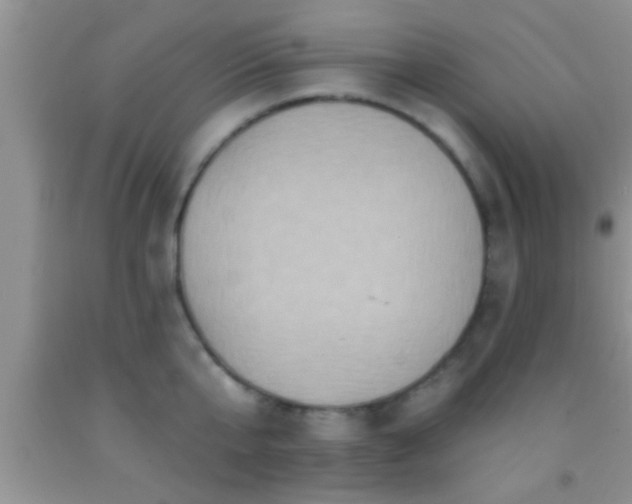 X0000092110807200709191327