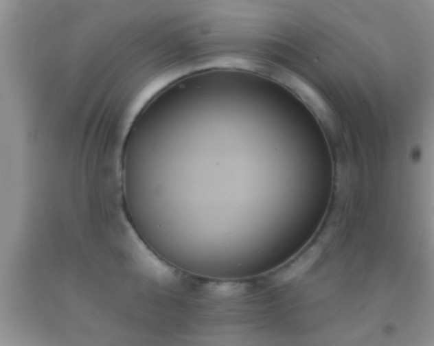 X0000092110808200709191327