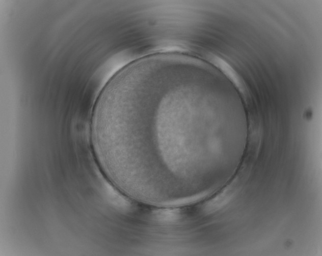 X0000092110810200709191327