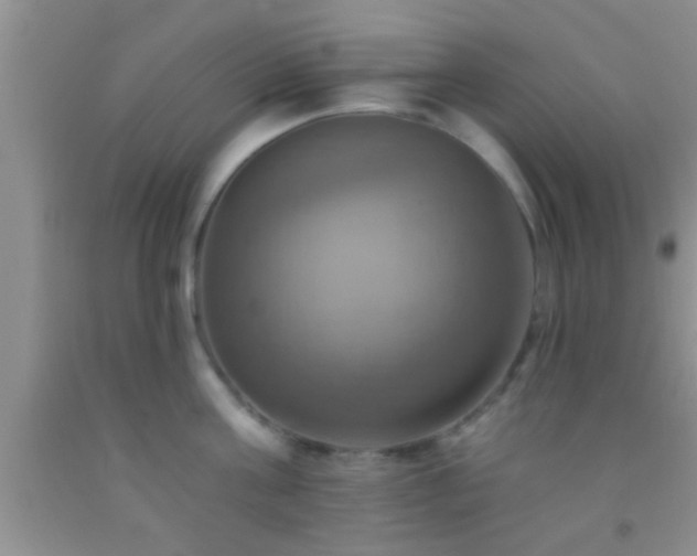 X0000092110811200709191327