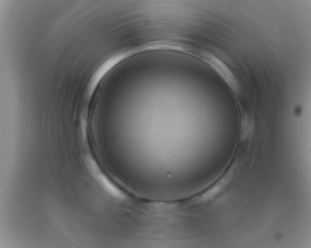 X0000092110812200709191327