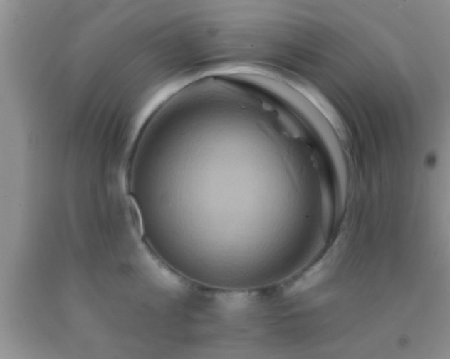 X0000092110813200709191327