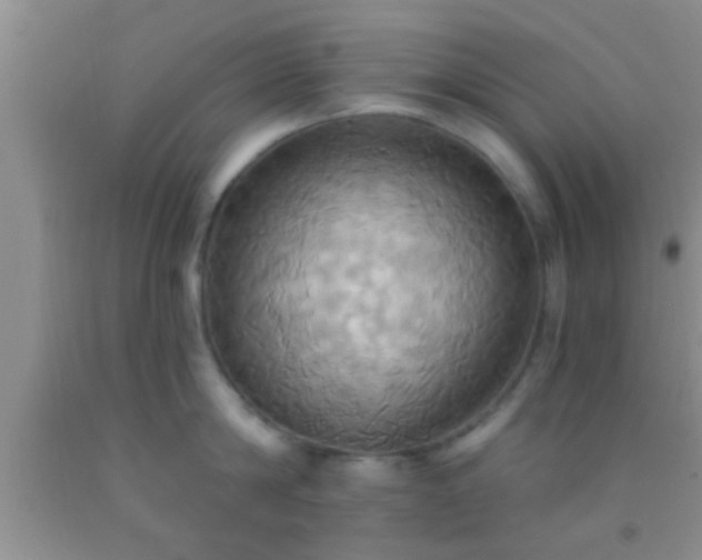 X0000092110814200709191327