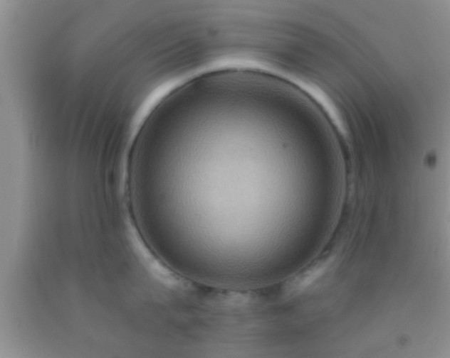 X0000092110815200709191326