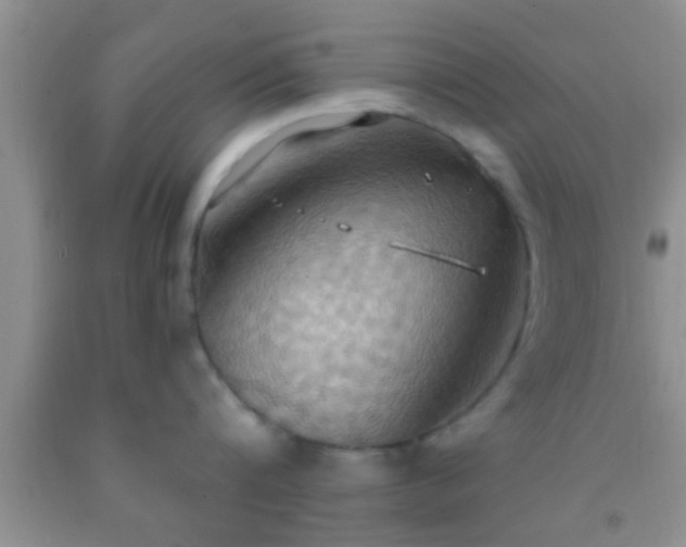 X0000092110816200709191326