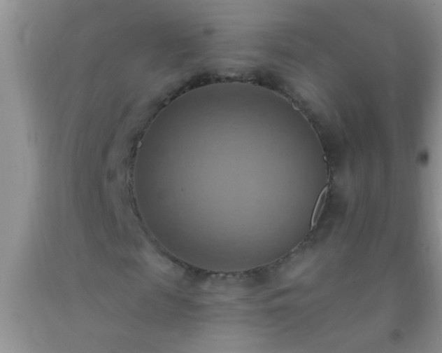 X0000092110817200709191326