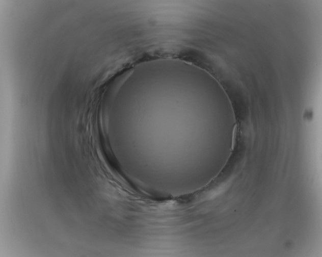 X0000092110818200709191326