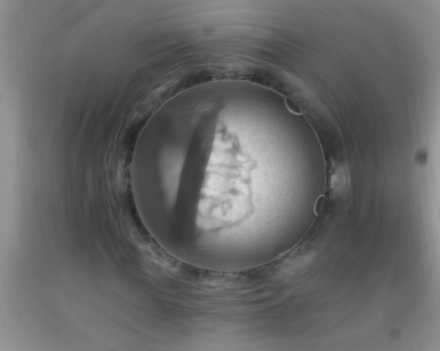 X0000092110819200709191326