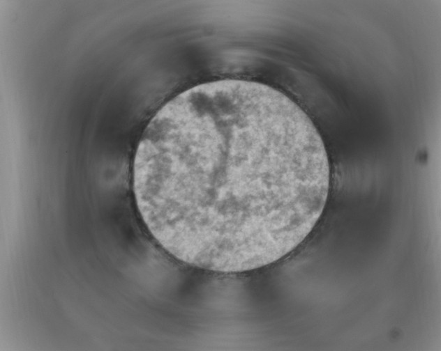 X0000092110820200709191326