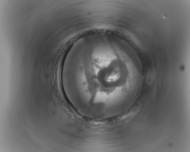 X0000092110821200709191326