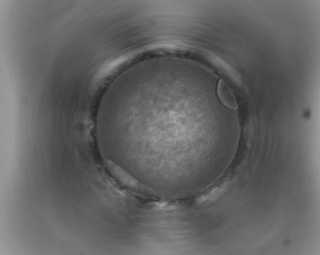 X0000092110822200709191326