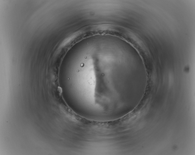 X0000092110823200709191326