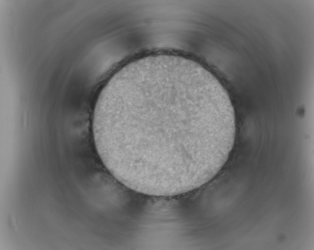 X0000092110824200709191326