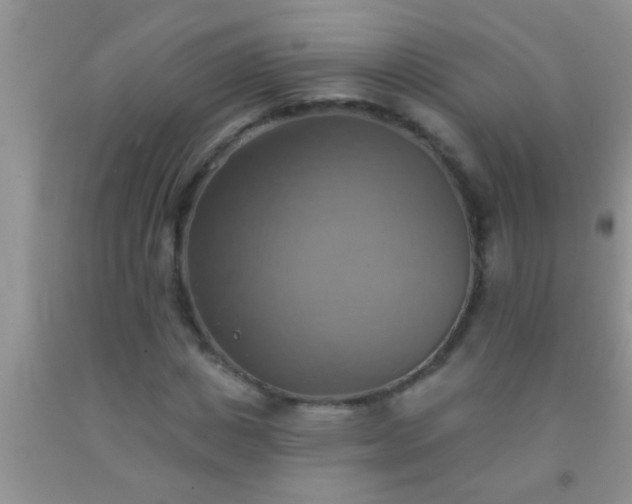 X0000092110825200709191326