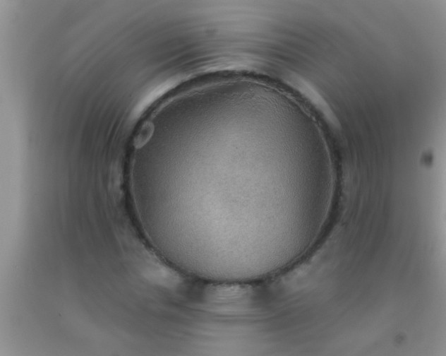 X0000092110826200709191326