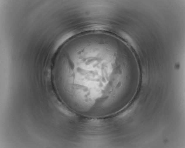 X0000092110827200709191326