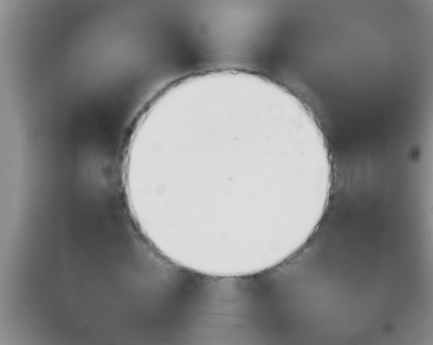 X0000092110828200709191326