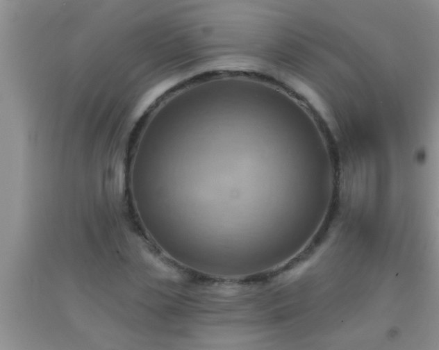 X0000092110829200709191326