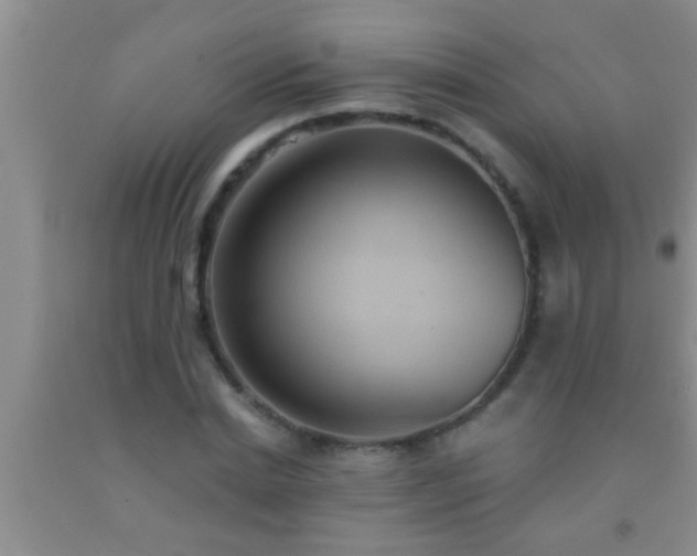 X0000092110830200709191326