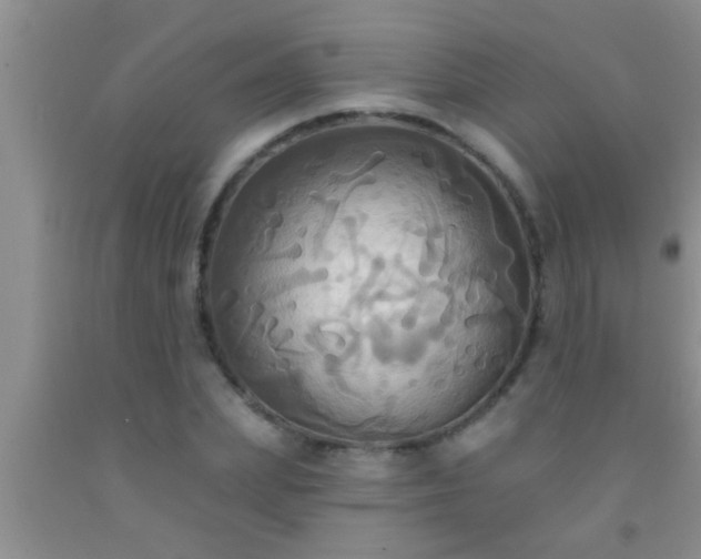 X0000092110831200709191326