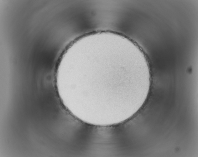 X0000092110832200709191326