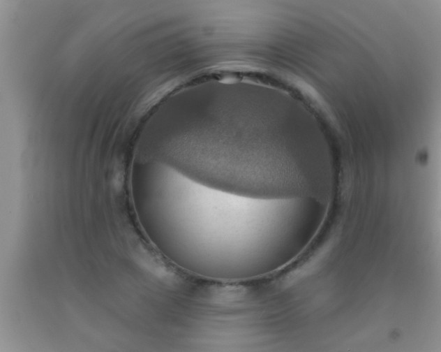 X0000092110833200709191326