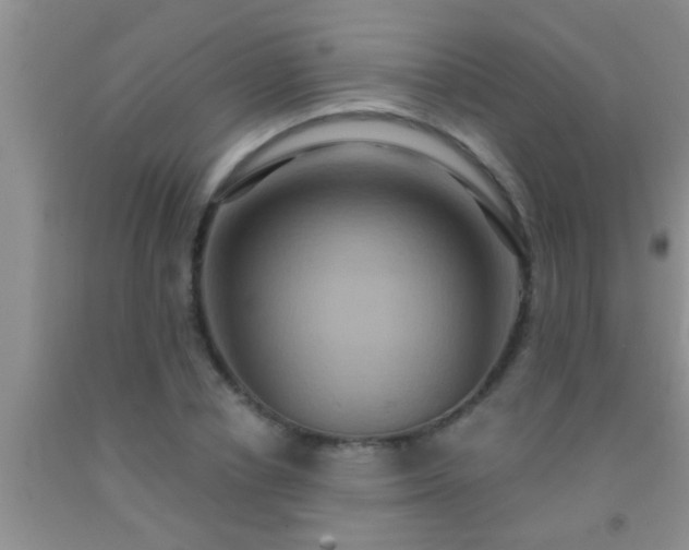 X0000092110834200709191326