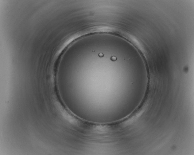 X0000092110835200709191326